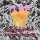 Mystery Jonas Bracelet Bundle